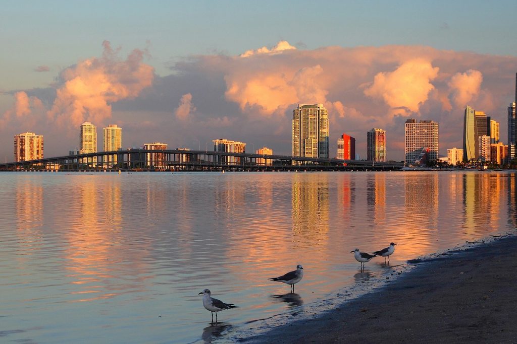 Où Voir Le Coucher De Soleil à Miami Miami Off Road