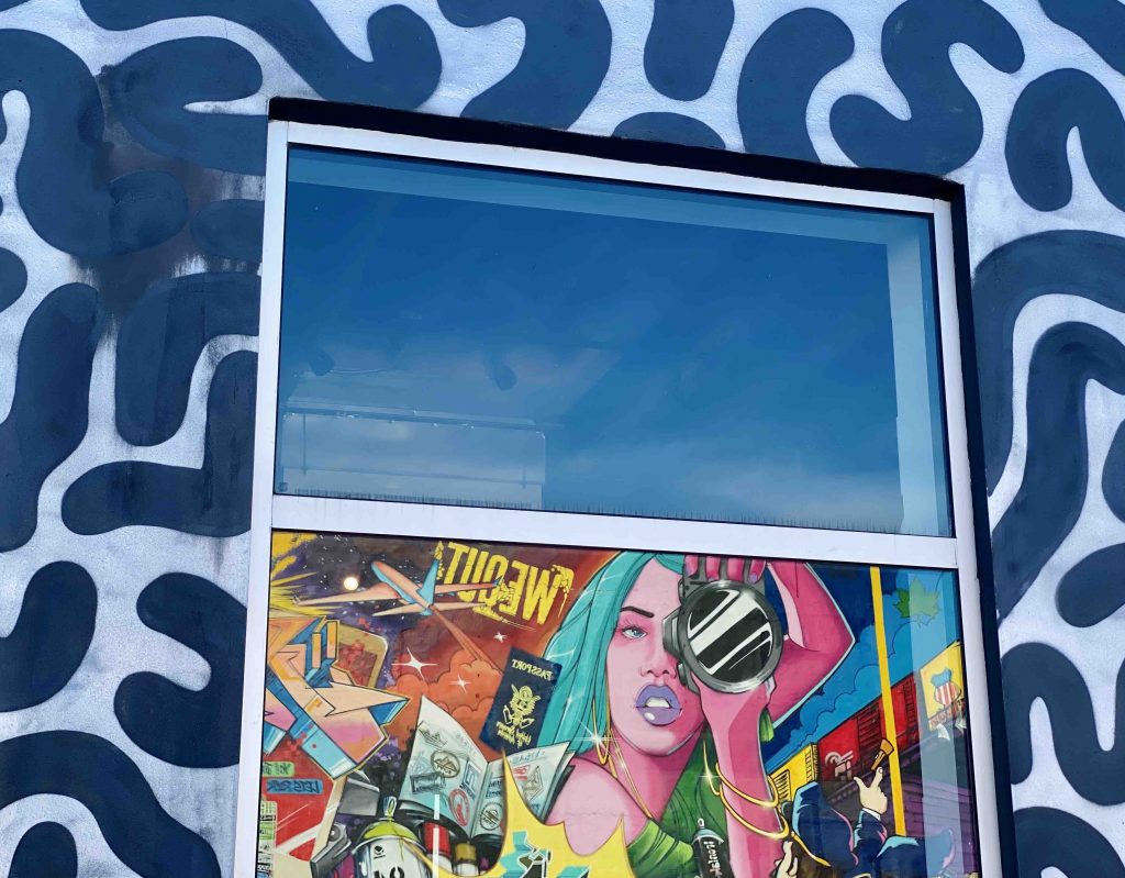 Wynwood musée de street art à ciel ouvert - visite en francais - miamioffroad