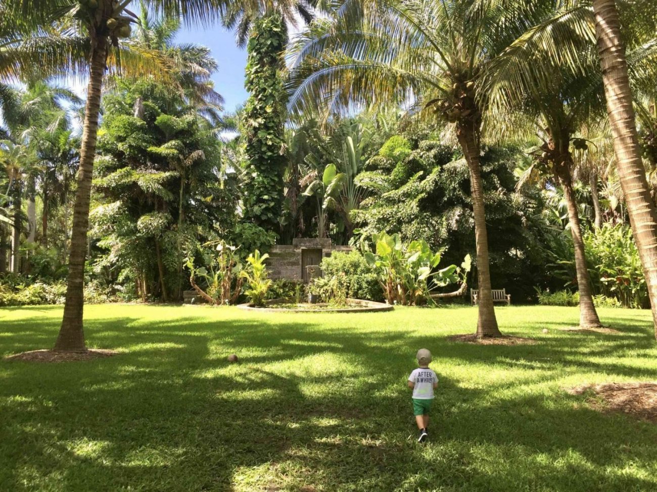 enfant se promenant dans la jardin botanique fairchild