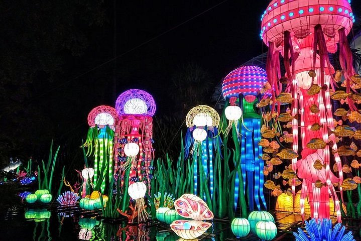 festival de lumières à miami en 2023, luminosa à jungle island, méduses lumineuses multicolors